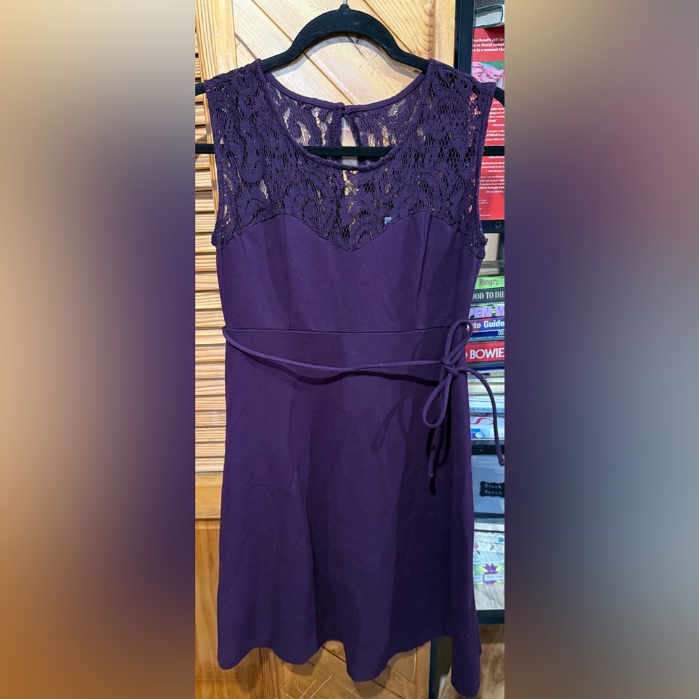 Motherhood Embellished Purple A-Line Mini Dress